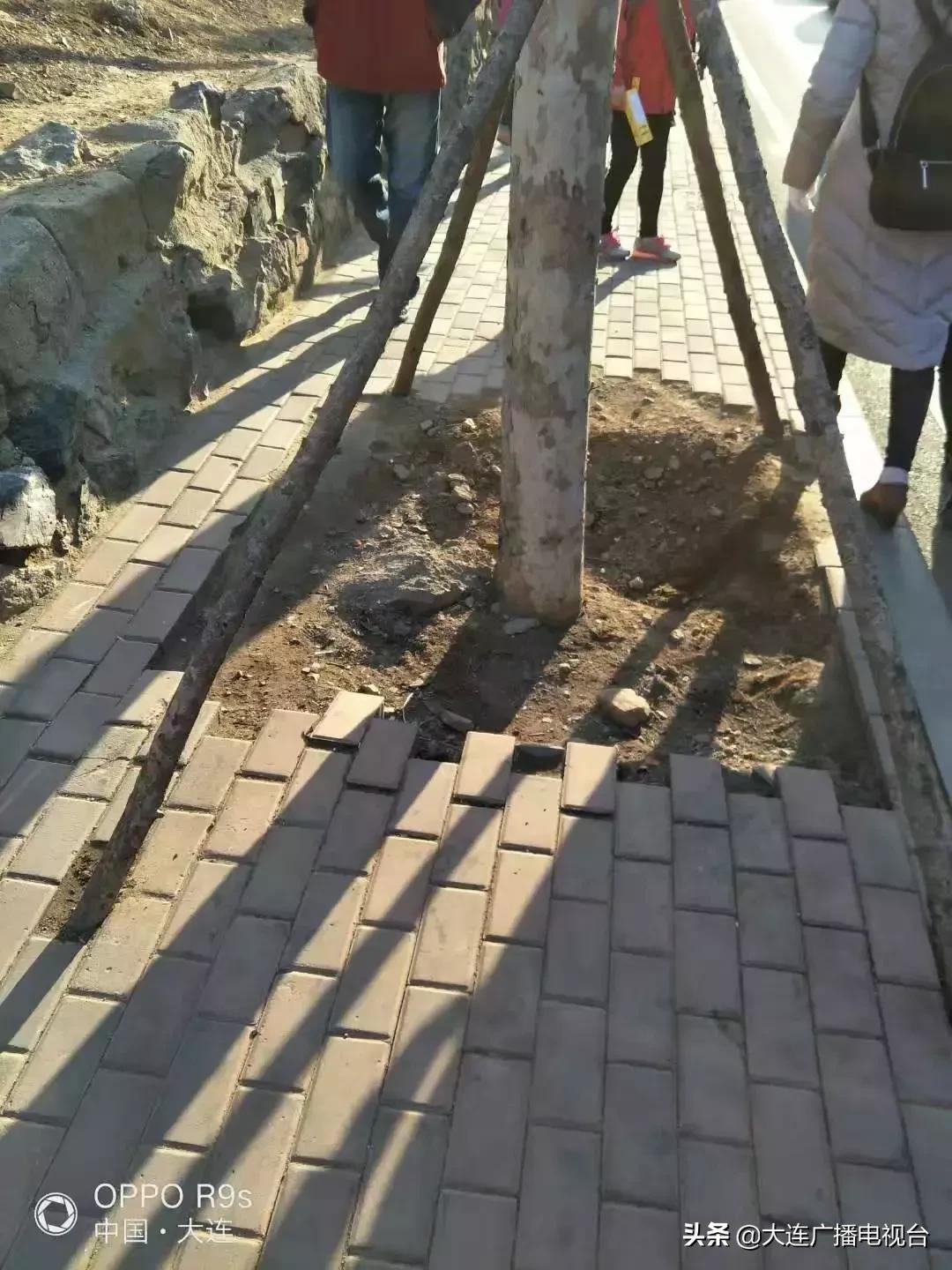 大连家长投诉：小学门前人行道最窄30厘米，太不安全！