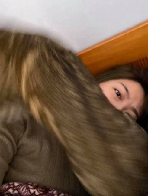 猫咪和主人的温馨时刻,和猫咪快乐的瞬间