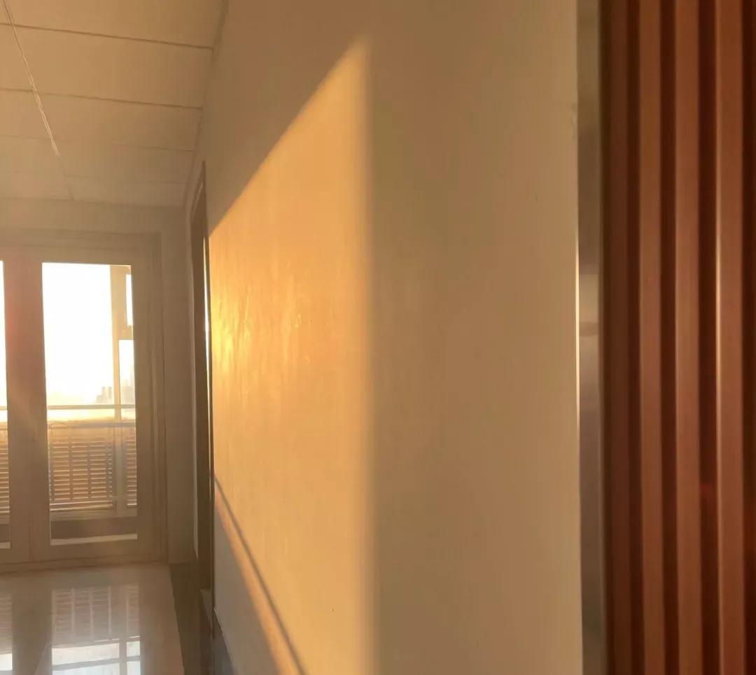 江苏省33所高校排名,江苏省300分大专院校