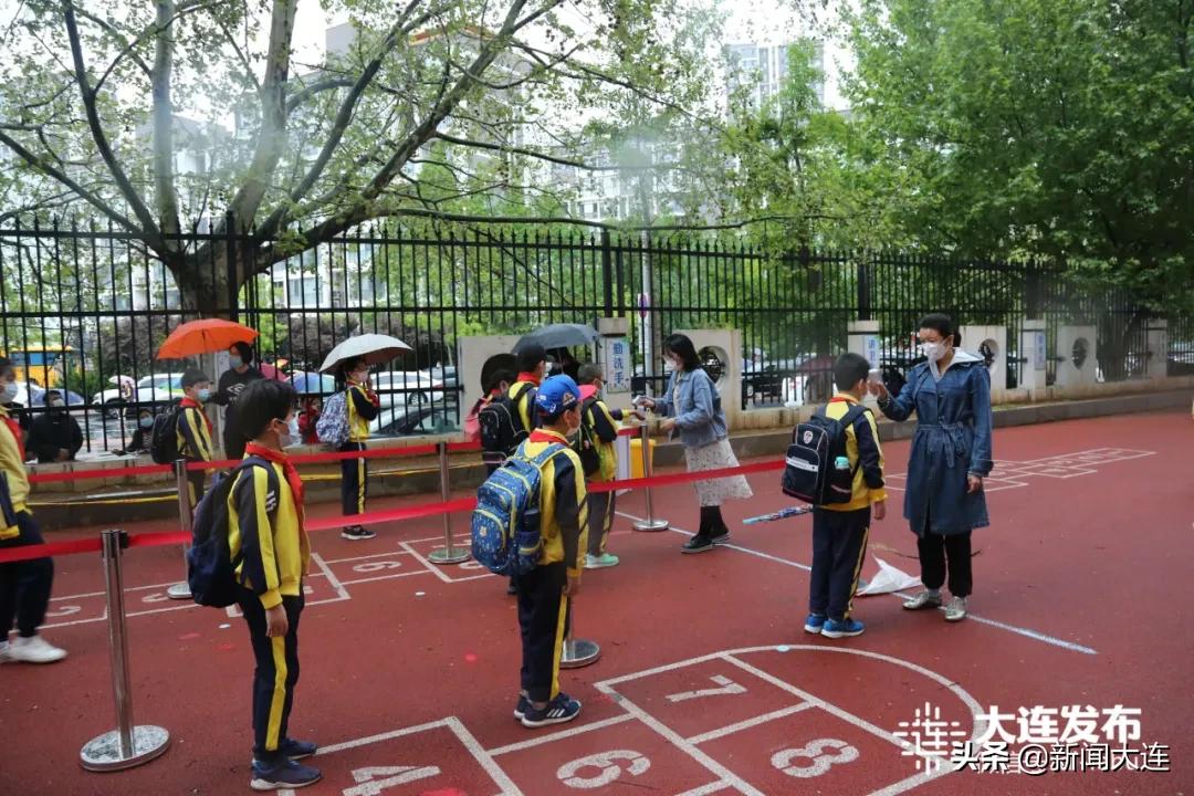 风雨中,“神兽”们返校了