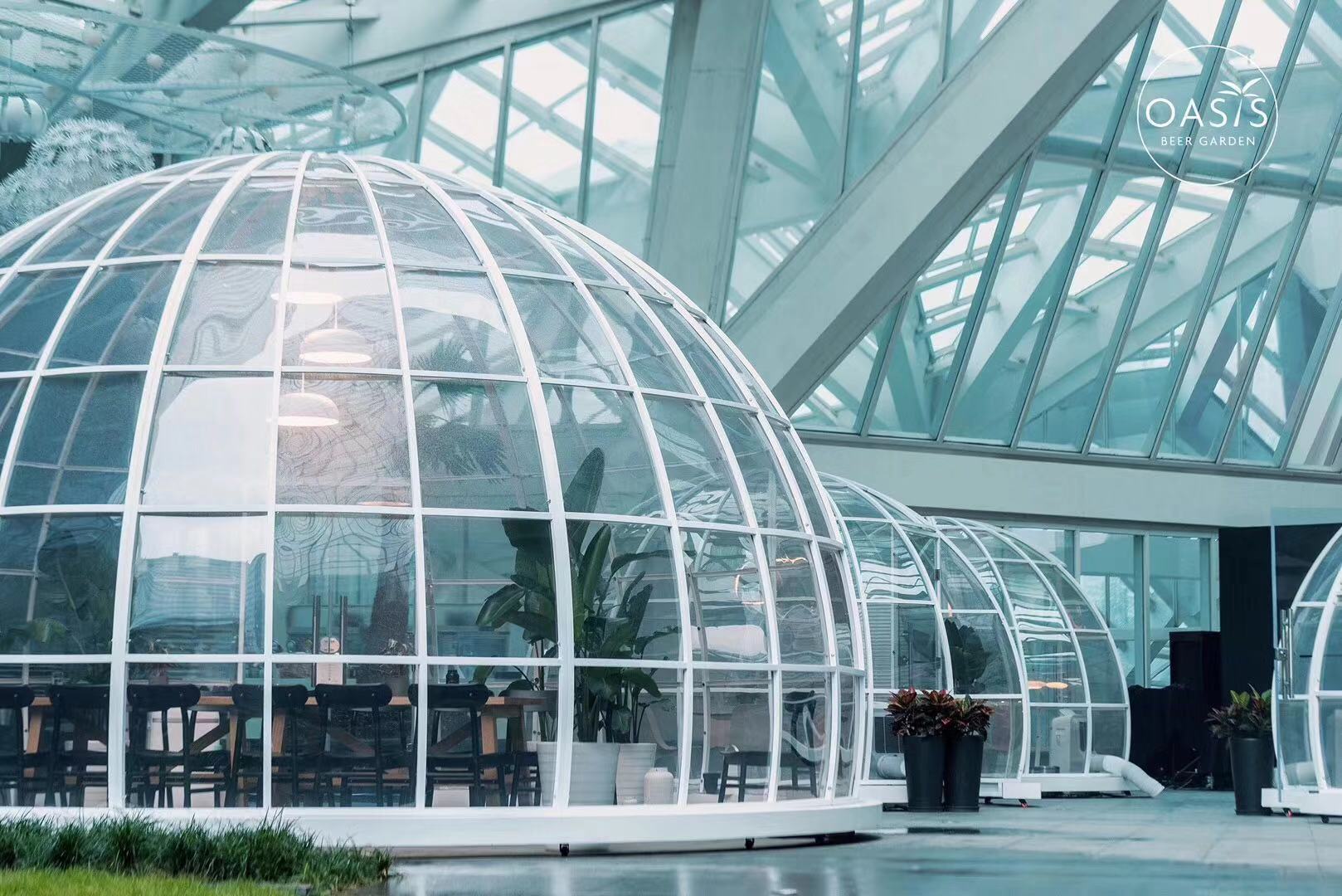 theoasis日照,theoasistavern绿洲