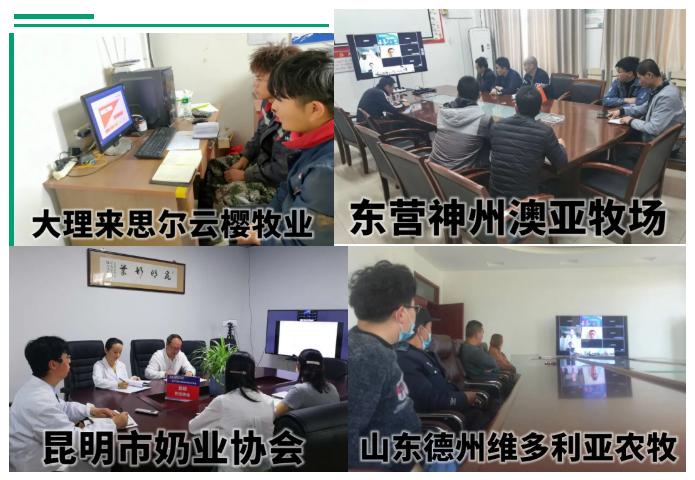 法国诗华达明博士马翀博士为您分享乳房炎最佳治疗方案