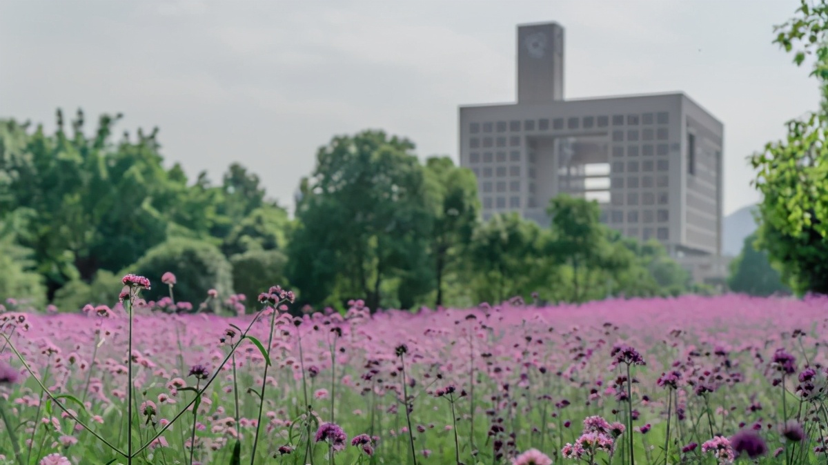 90后女大学生入职联想，半年完成400万企业级任务，成为区域大客户经理