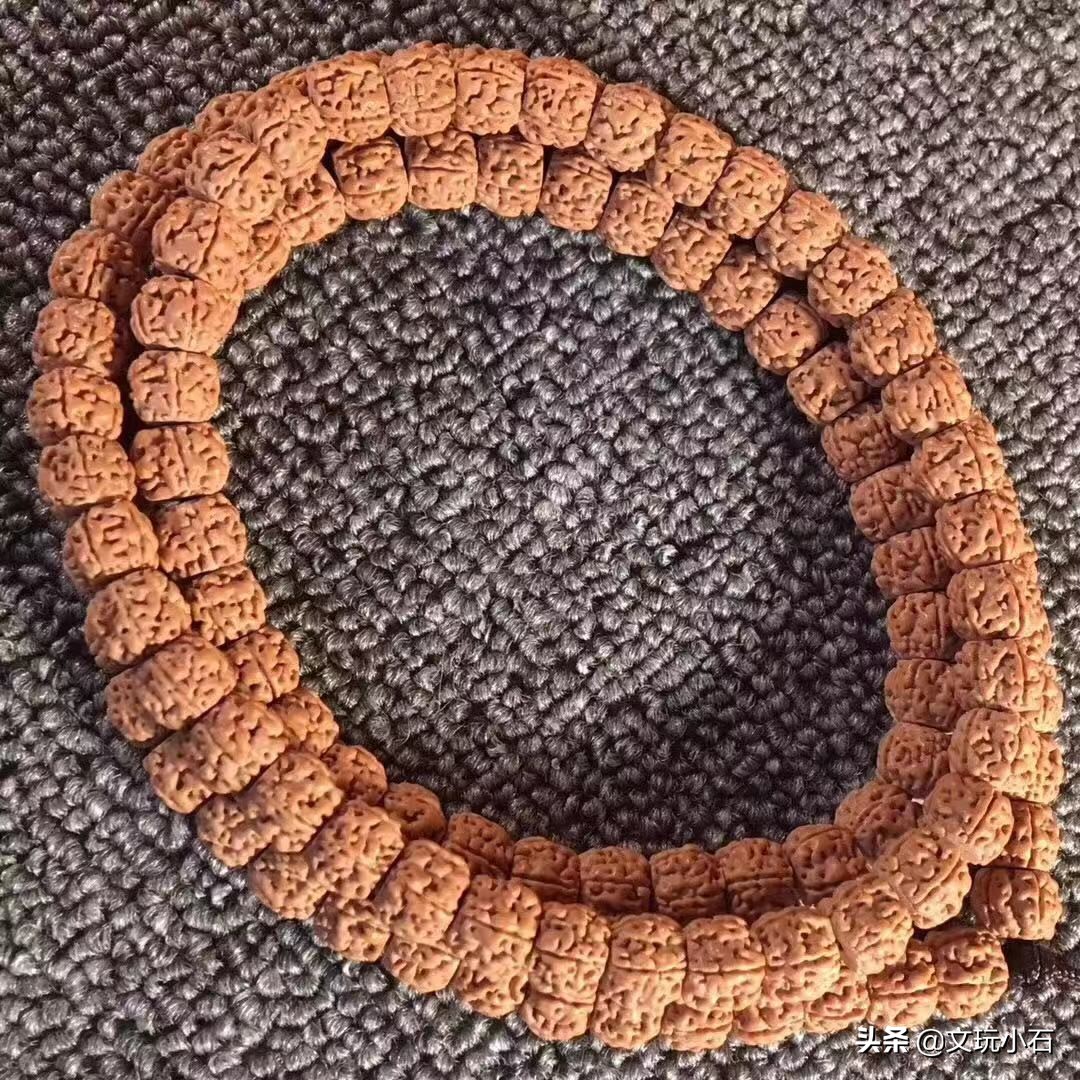 如何避免金刚菩提断齿,霸王花金刚菩提断齿吗