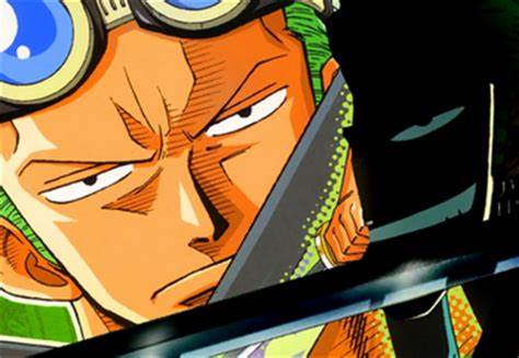 索隆最霸气的草帽,草帽海贼团索隆经历