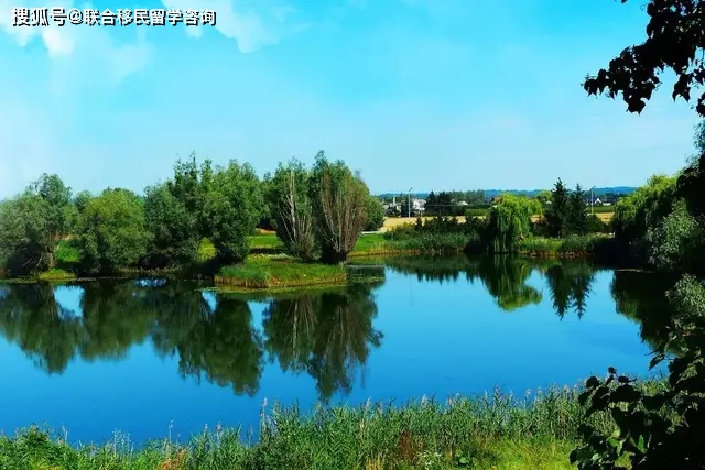 波兰工签近期通过率,波兰工签工作