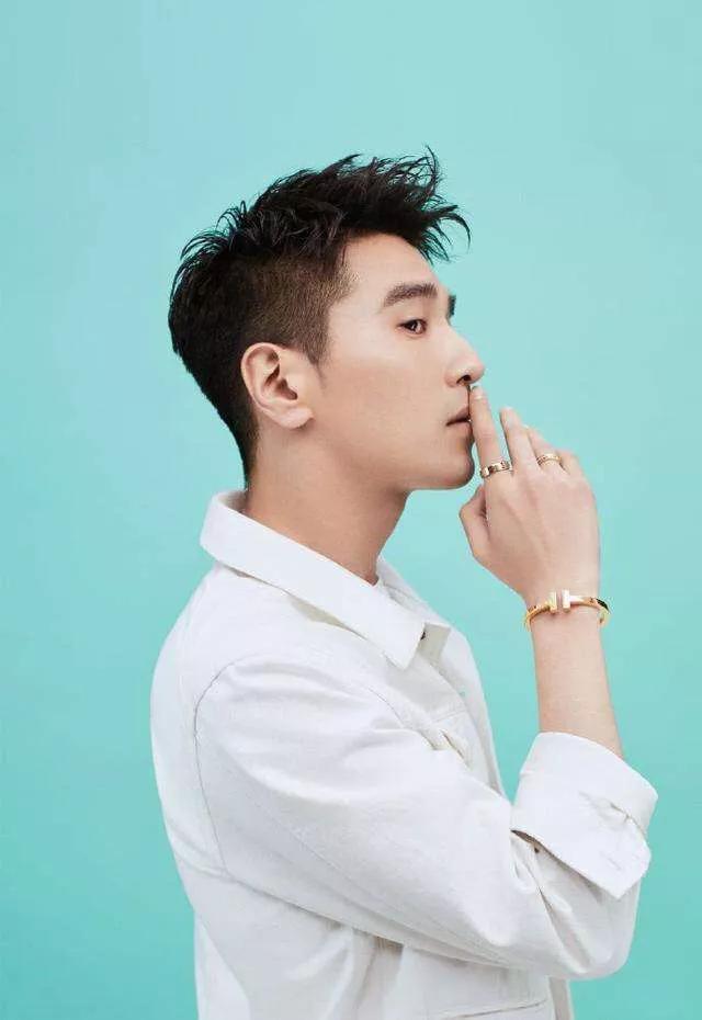 单眼皮帅哥跟双眼皮哪个好看,单眼皮男明星割双眼皮