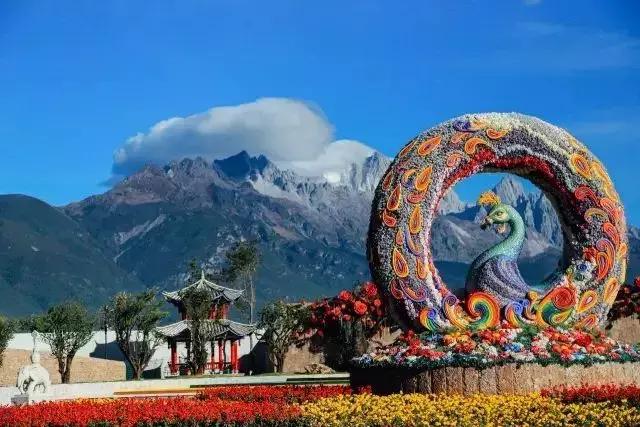 云南丽江旅游攻略自由行路线,昆明大理丽江西双版纳自由行攻略