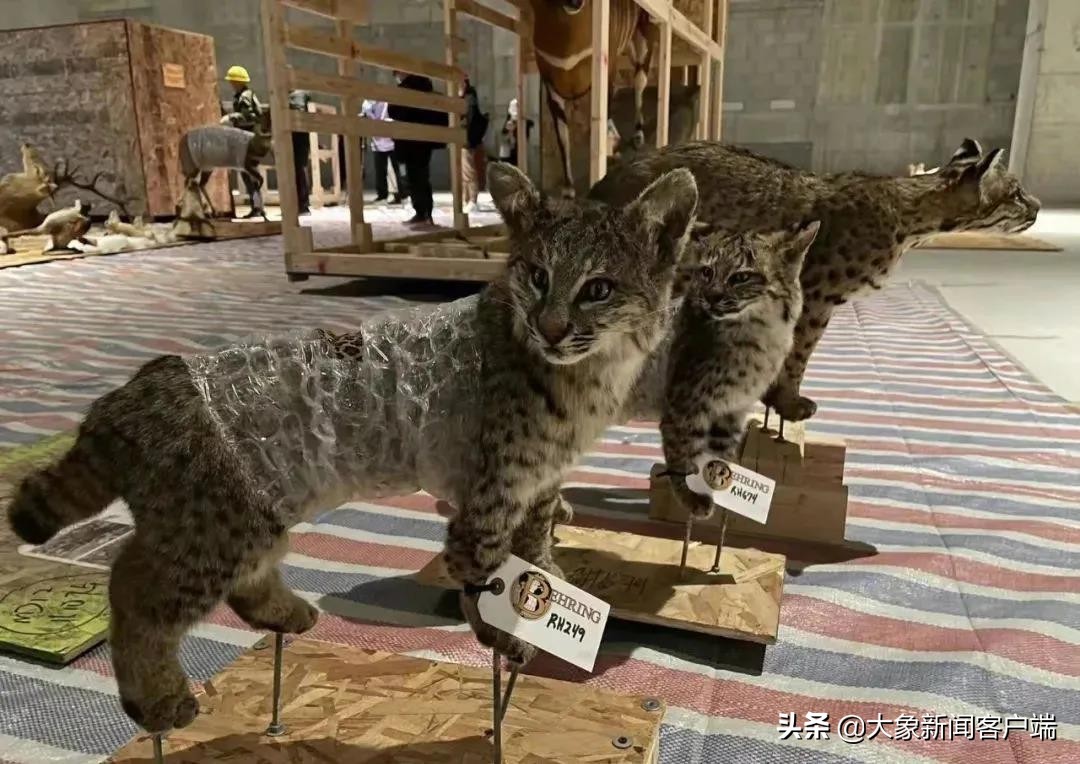 河南部分高校寒假将提前,河南你早