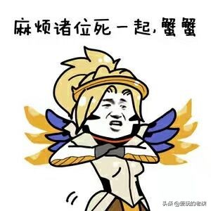 守望先锋那些老玩家才知道的梗,关于守望先锋梗图