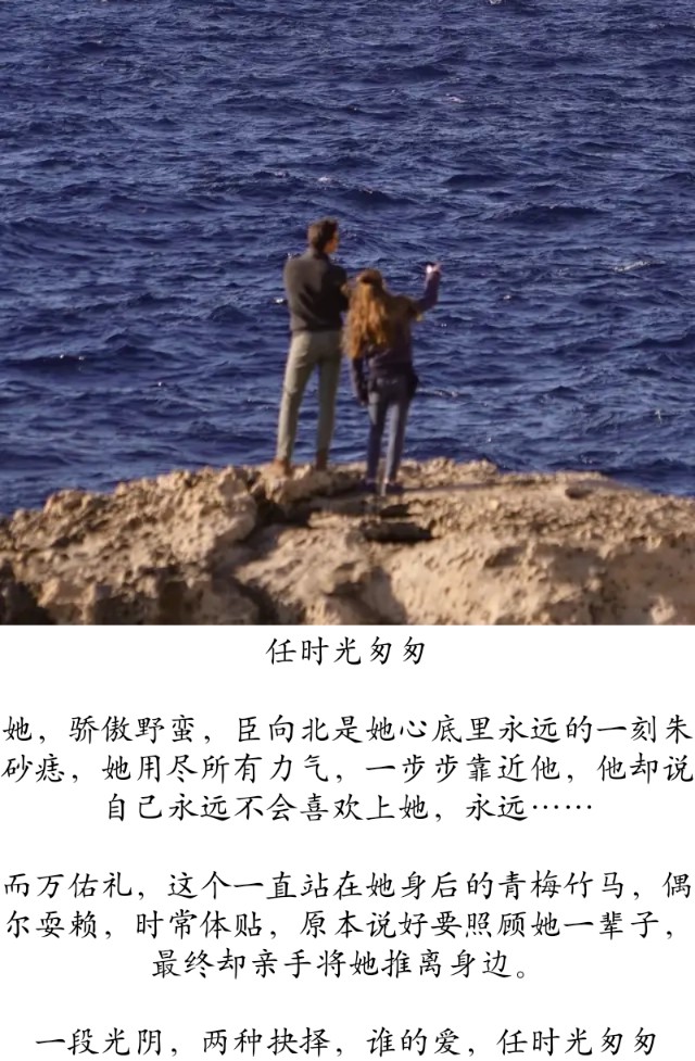 蓝白*小说色**+相爱相杀+男强女强+商战,一句话,爱上最不该爱的人