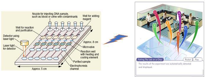 前沿生物医疗创新趋势,中国生物芯片关键技术突破