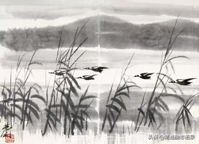 老祖宗的十句老话话粗理不粗,老祖宗留下的老话太有道理了