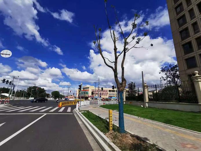 本应是宝藏的板块，怎么就当上了“陪跑选手”？