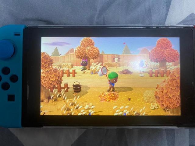 switchlite动物之森是限定的吗,switch动物之森没更新可以刷钱吗