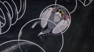 小时候看不懂猫和老鼠的故事,小时候看猫和老鼠动画片