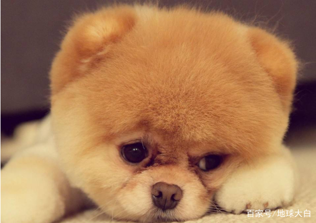 表达我很高兴的英语句子,表达我很开心的话