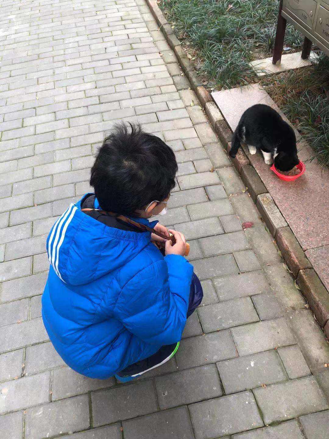 嘉蓝三文鱼猫粮,嘉蓝猫粮和皇家猫粮