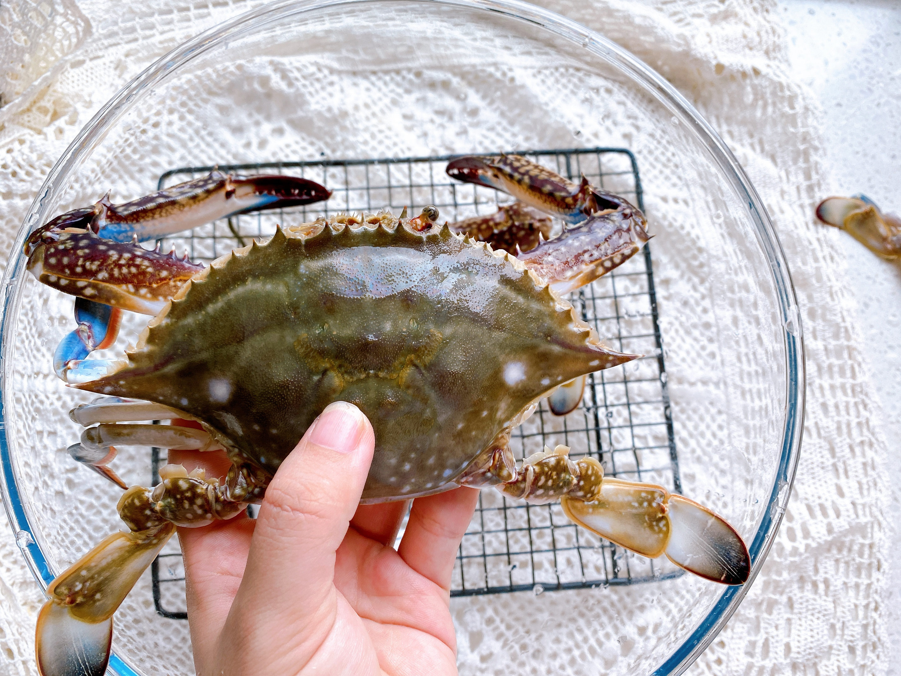 怎么挑选出好吃的梭子蟹,怎么挑梭子蟹肥美