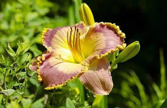 中国十大治家经营之道,中国十大商帮的经商之道