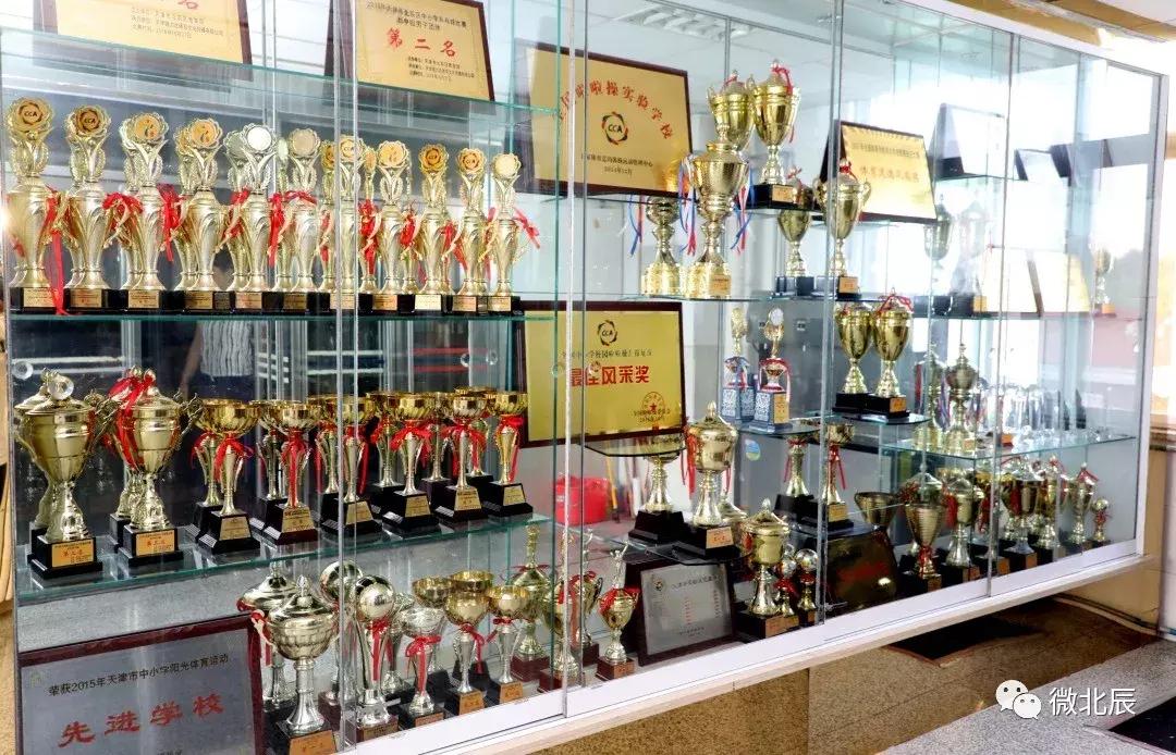 华辰学校荣誉背后的奥秘,我们都是追梦人高一