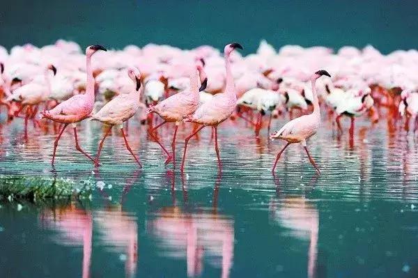 身份证410、411、412开头的,去了郑州就等于去了全世界