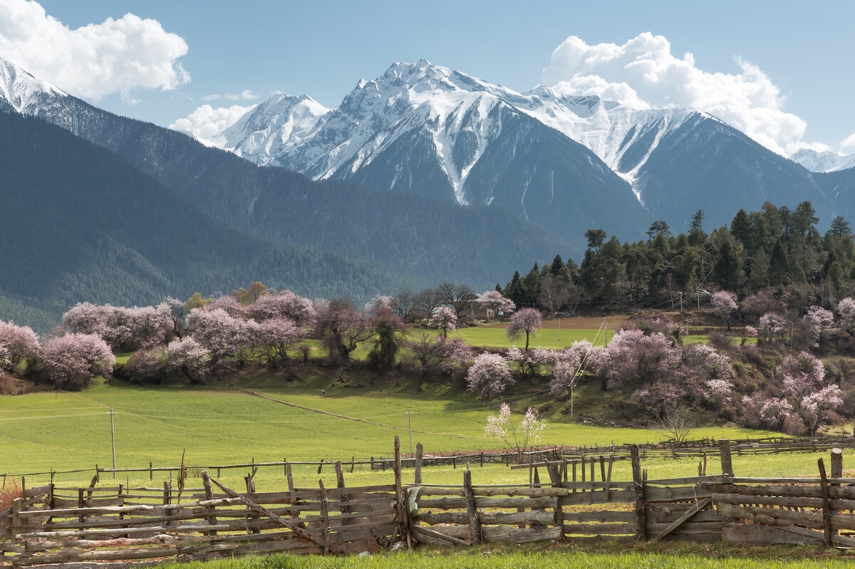 春季自驾游3-4天最佳路线,这才是春天最美的15个地方