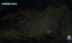 三趟快车|不为人知的“赶车人”（二）