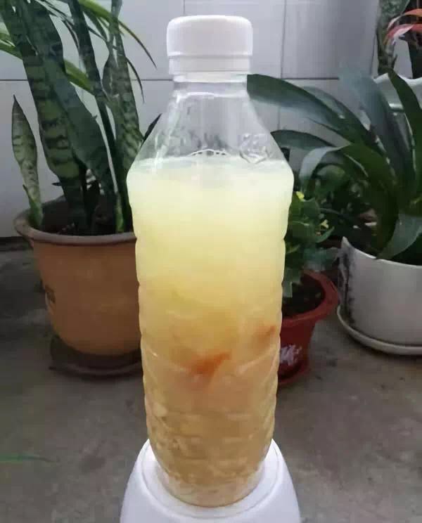 黄豆发酵浇花是磷肥还是氮肥,黄豆能当肥料养花吗
