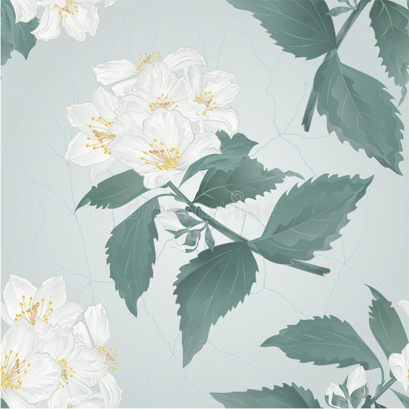 水墨一样的苏州女子——南眉