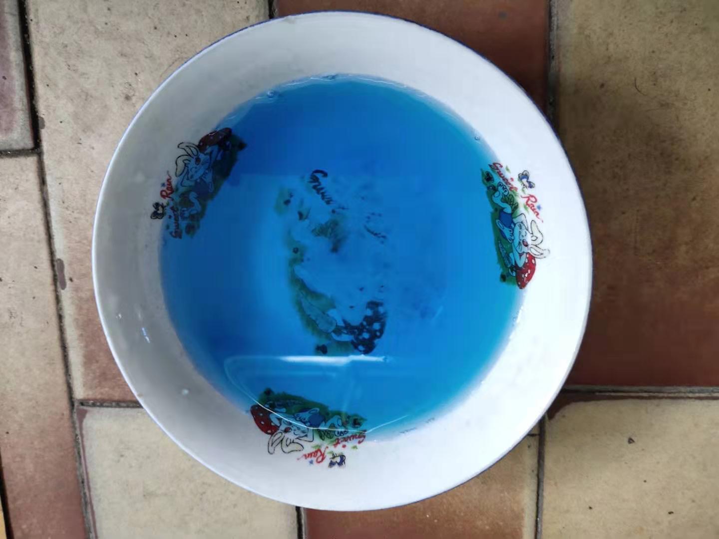 观赏鱼体表检疫,观赏鱼做检疫一次多长时间