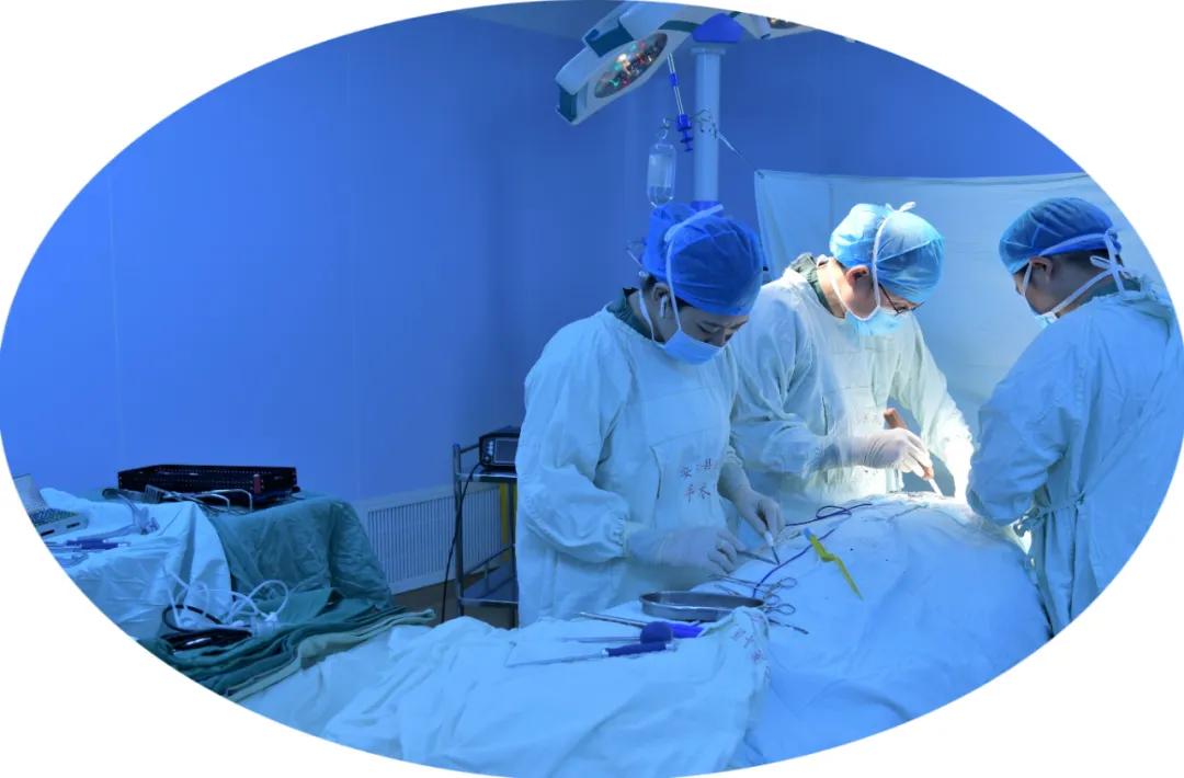 风雨同舟共成长——庆祝安溪县医院骨二科成立一周年