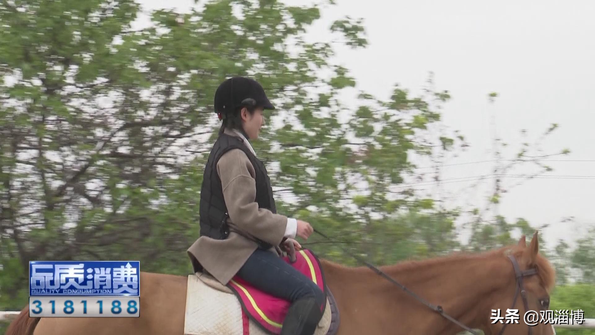 策马扬鞭“骑”乐无穷