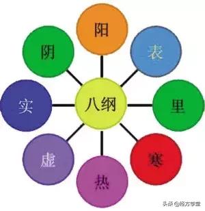 把脉纸上学,得来终觉浅!