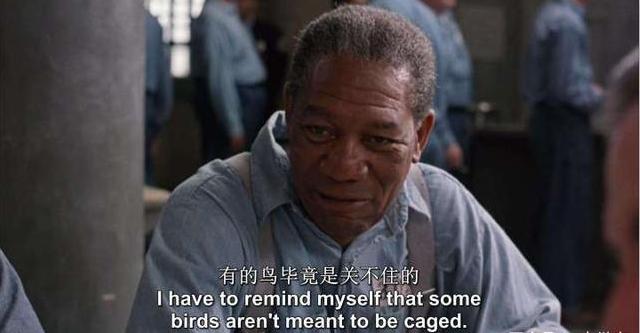 10部励志级电影推荐,十部顶级励志电影推荐