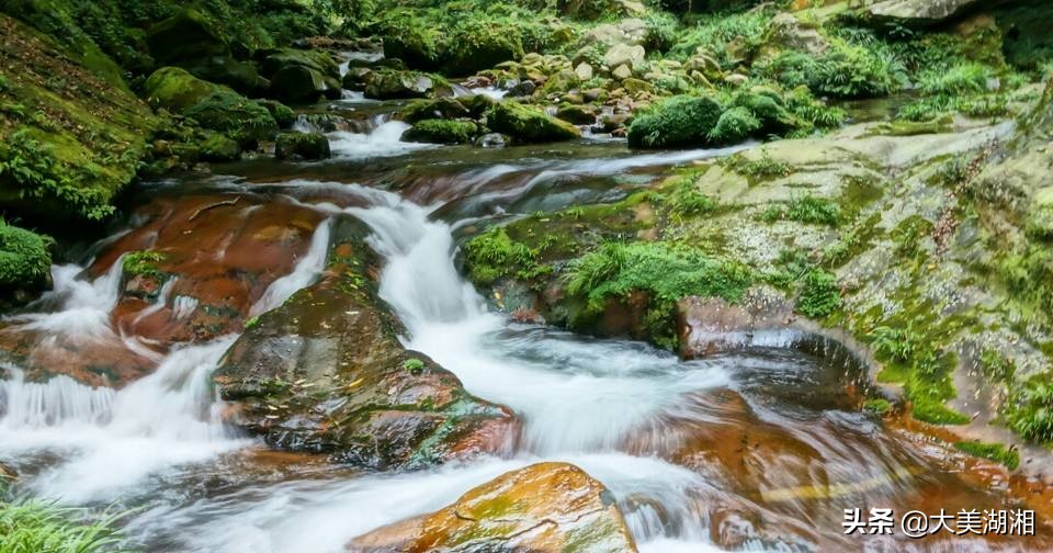 刘晓平,刘晓平的作品