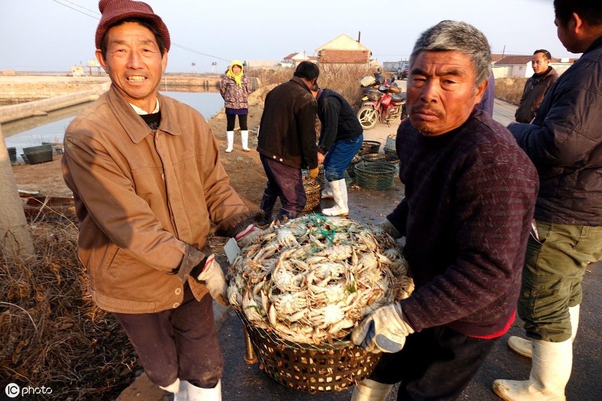 河蟹黑鳃用什么药,河蟹黑鳃病的原因及治疗方法