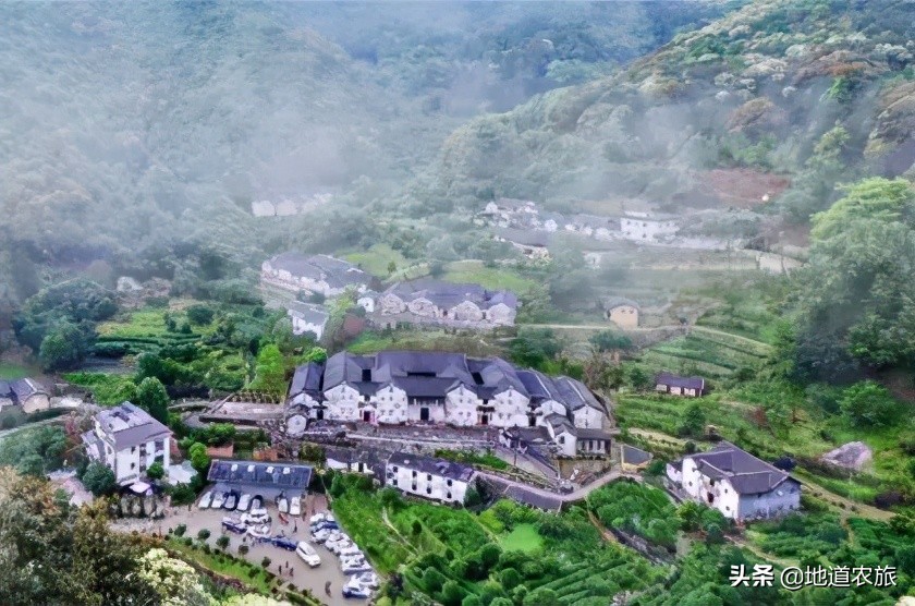 在乡村振兴中发挥雁阵效应,湖南鹊山模式培育乡村振兴领头雁