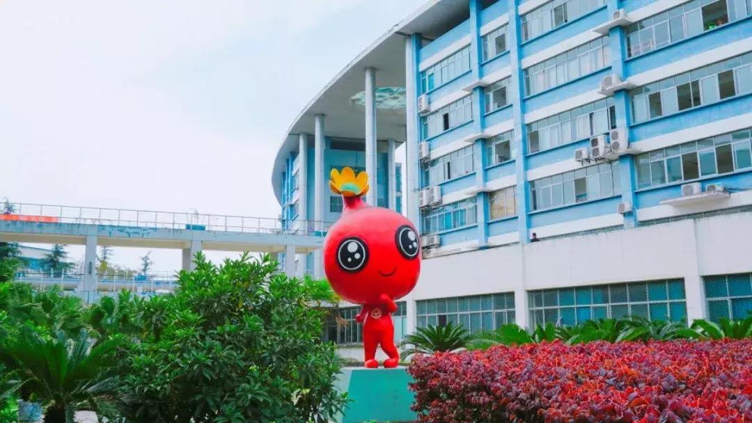 我的青春,叫电子科大成都学院!