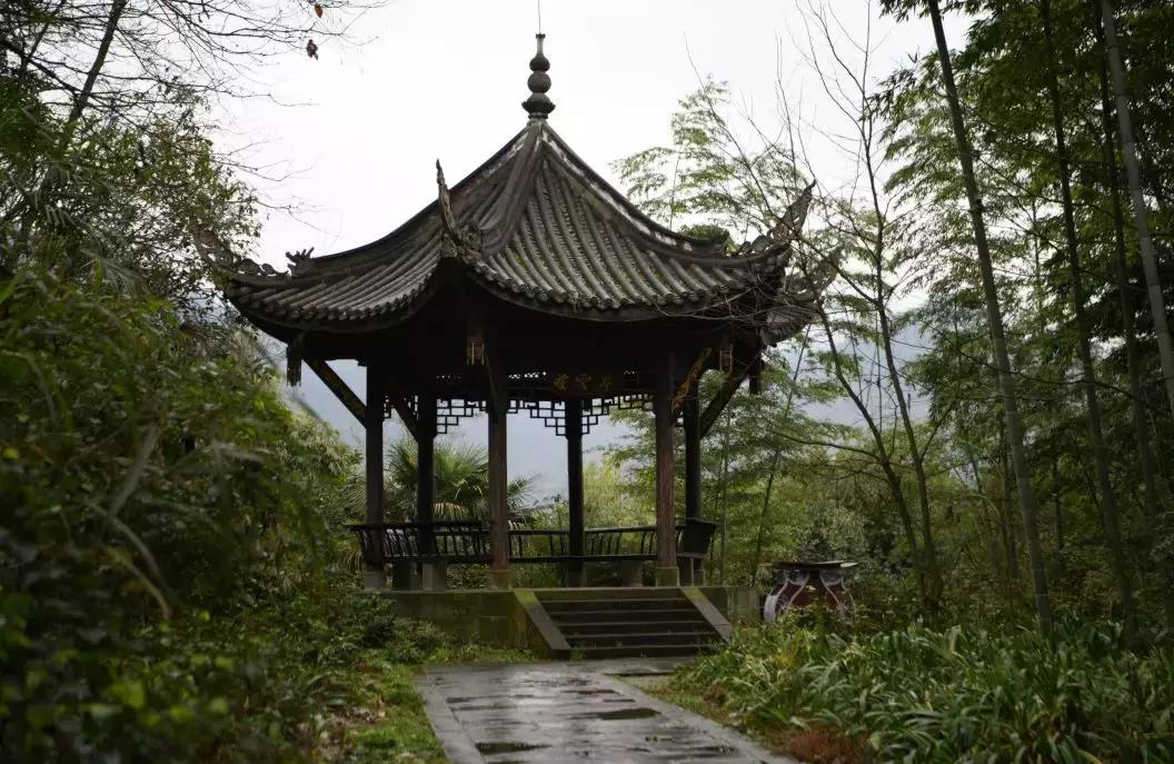 峨眉春游免费景点,一条绝佳的自驾旅游线路