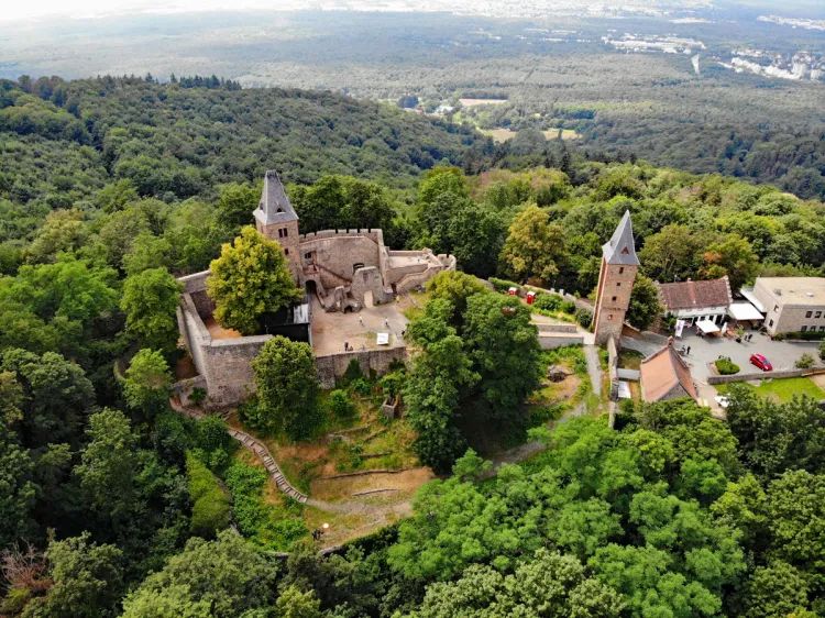 号角喇叭第一品牌:Avantgarde喇叭花