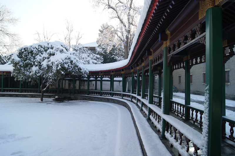 每日一校北京大学,每日一校领科教育