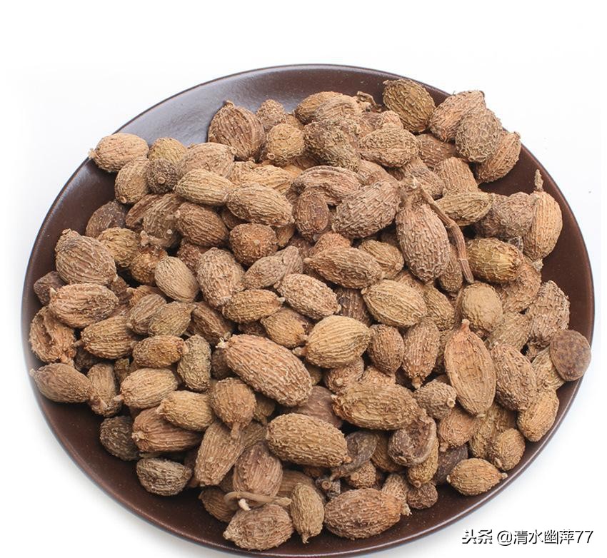 猪肚鸡内金和砂仁治胃病,猪肚炖砂仁能快速修复胃黏膜