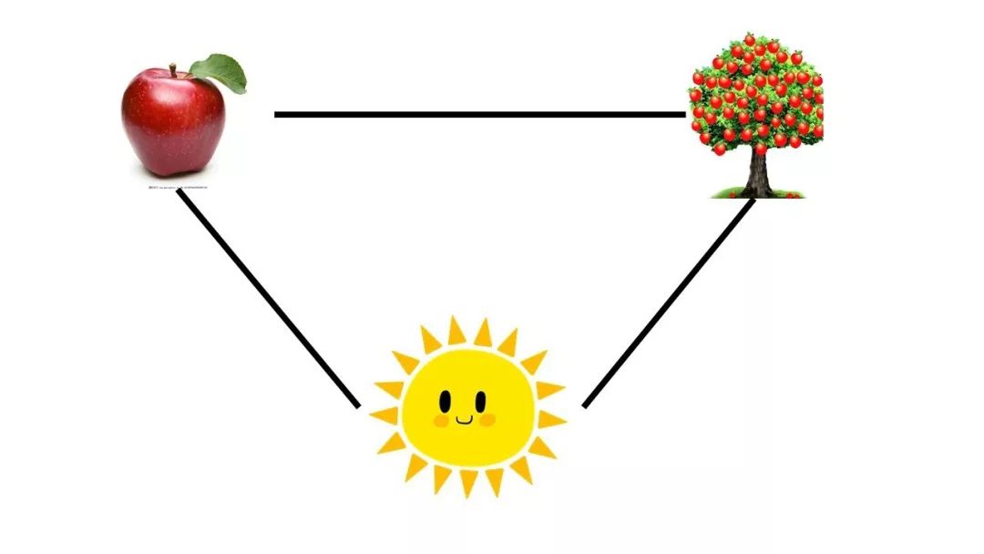 理解能力如何提高,如何强化理解能力