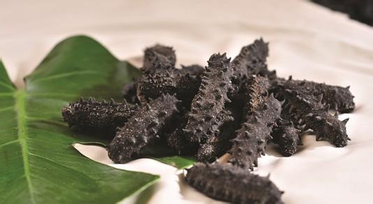 为什么很难吃到鲜活的海参,鲜活海参加工完就这么吃