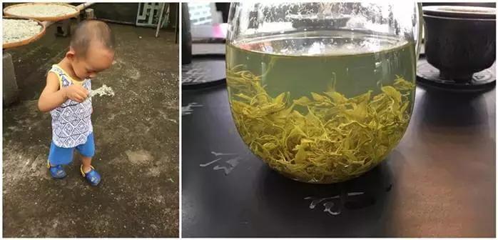 湖南张家界莓茶真的那么好吗,张家界莓茶简单介绍