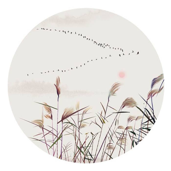 定而后能静原文意思,定而后能静英语翻译