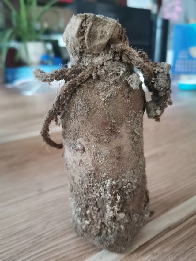 天然麝香酒野钓有用吗,钓鱼麝香泡酒有什么功效