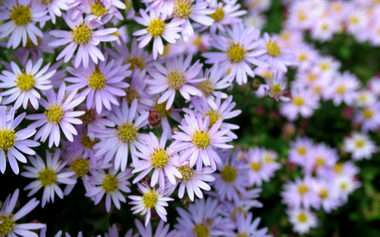 说文解字第339讲,说文解字第143课全集