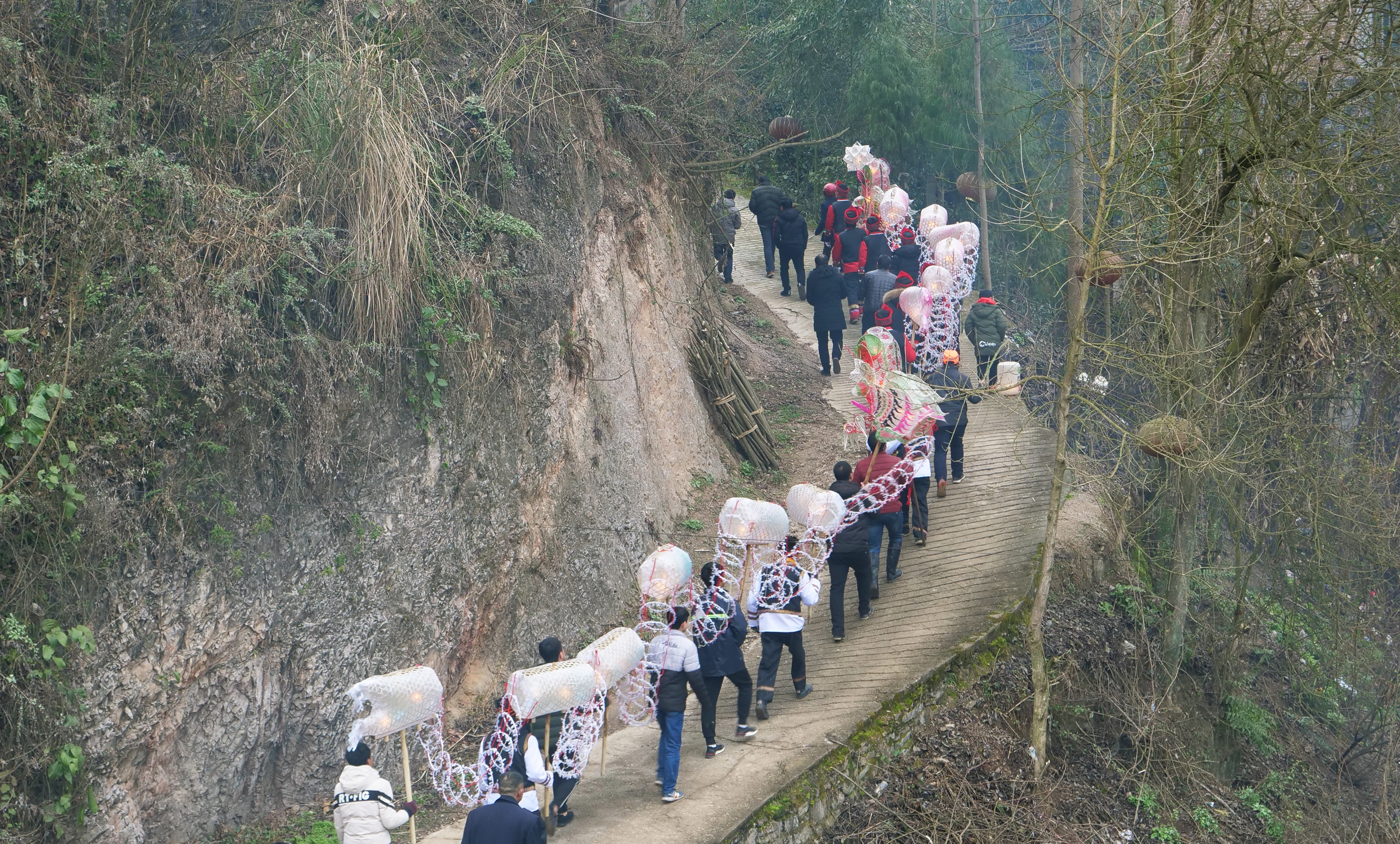 龙脑袋,龙脑袋配色